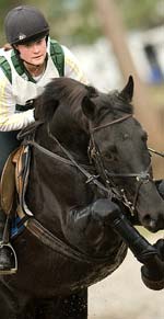 image - horse and rider leaping