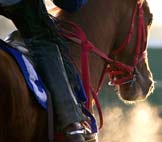 image - crop rider foot in stirrups